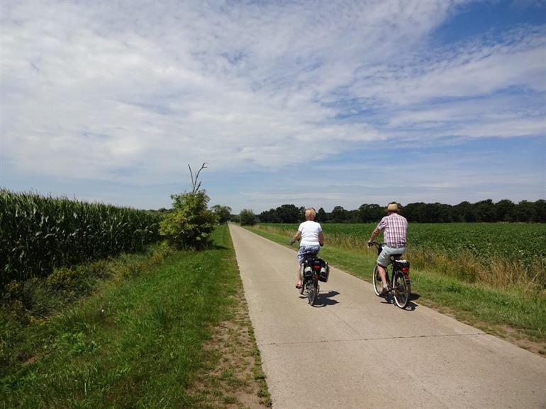 Kalmthoutse Heide