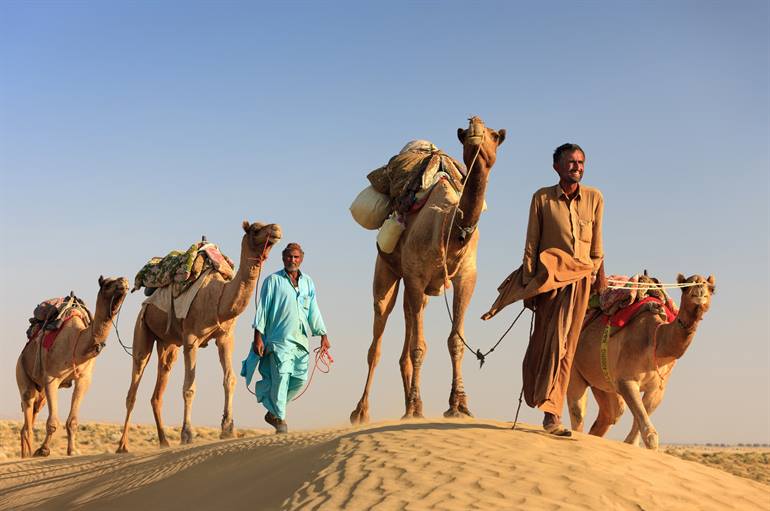 Kamelensafari in der Thar-Wüste