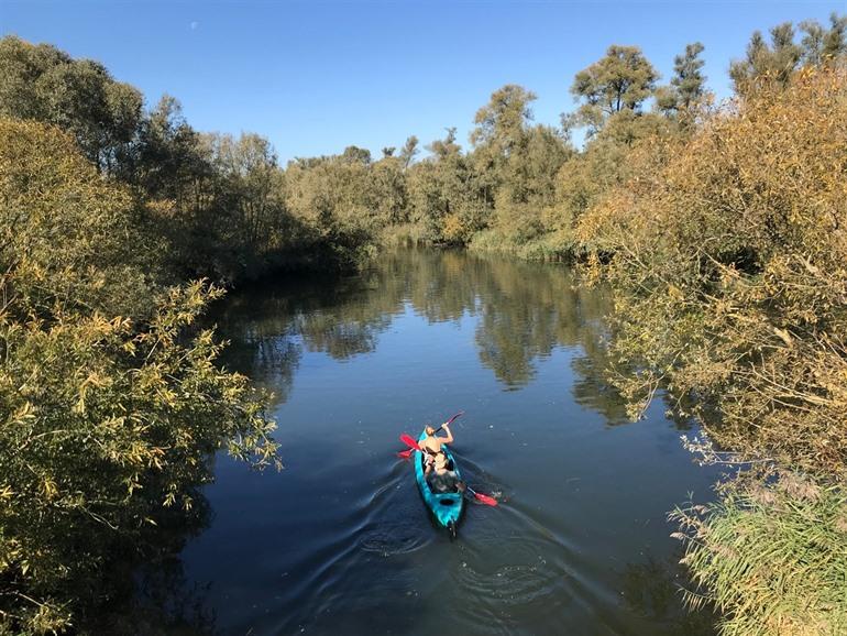 Kajakfahren im Biesbosch-Nationalpark