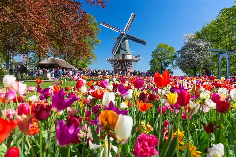 Den Keukenhof besichtigen
