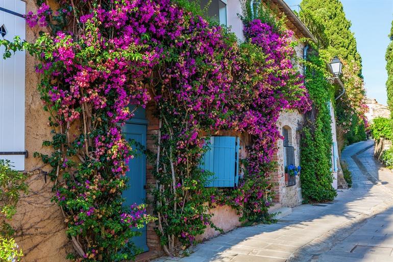 Bunte Gassen von Grimaud, Côte d'Azur
