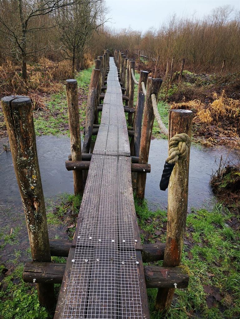 Knüppelpfad im Naturschutzgebiet De Nuchten