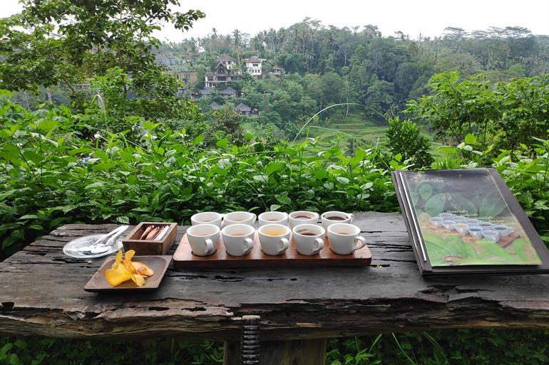Kaffeegenuss in Bali Pulina