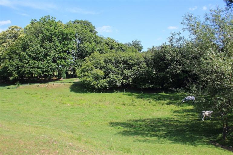 Kordaalwald in Kruishoutem, Vlaamse Ardennen