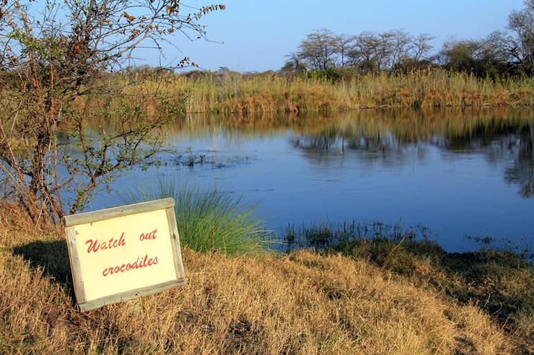 Krokodile am Kwando-Fluss, Caprivistrook