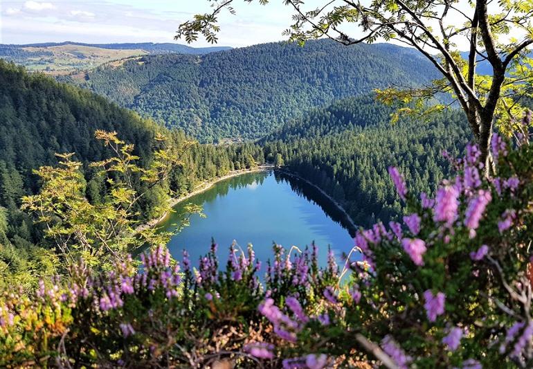 Der Rabensee in den Vogesen