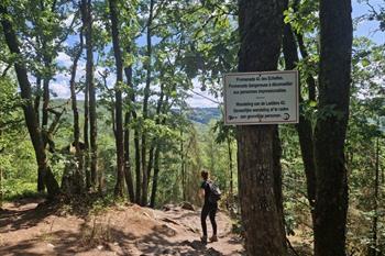 Leiterwanderung in Rochehaut