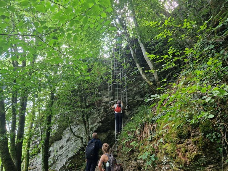 Leiterwanderung in Rochehaut