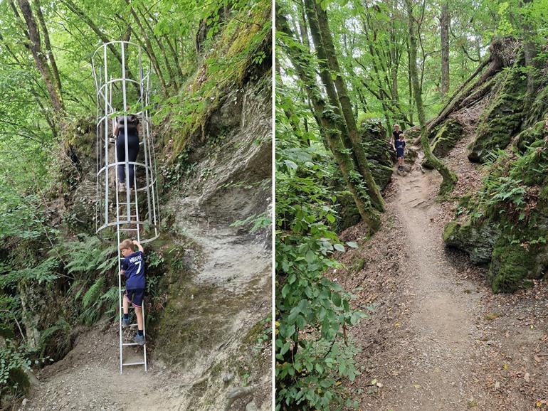 Leiterwanderung in Rochehaut