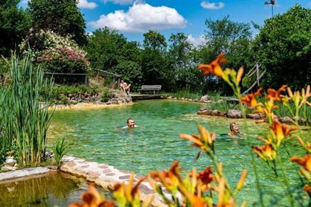 Landhotel Gut Wildberg mit Naturbadesee und Sauna buchen