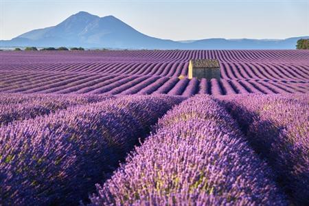 Landschaft in der Nähe des Plateau de Valensole