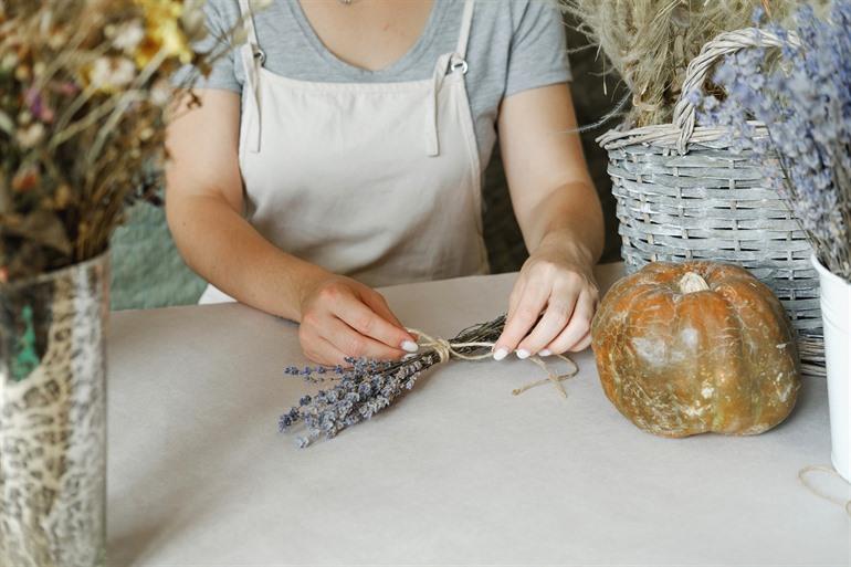 Lavendebüschel in der Provence