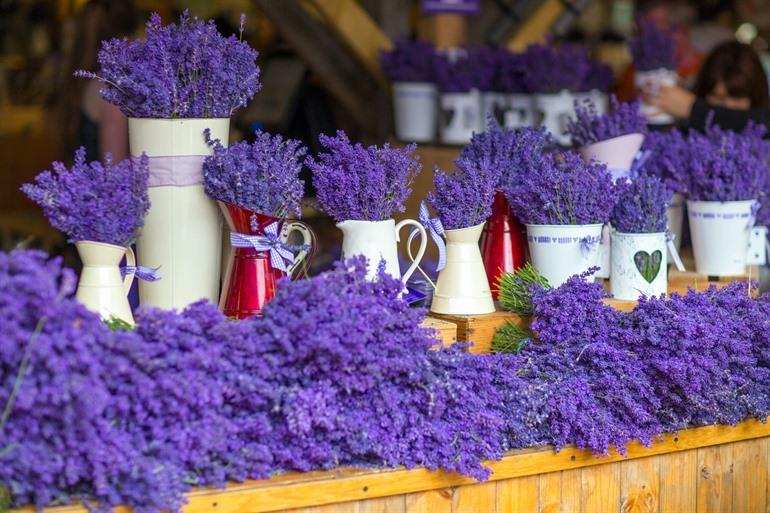 Lavendelgeschäft in der Provence