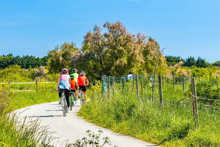 Die Insel Oléron mit dem Fahrrad entdecken
