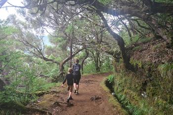Levada der 25 Fontes PR6 Wanderung auf Madeira