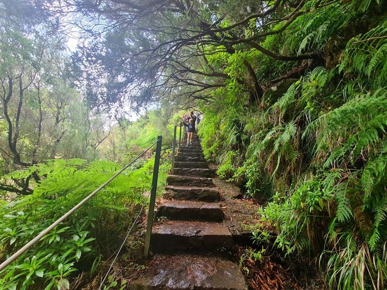 Levada der 25 Fontes PR6 Wanderung auf Madeira