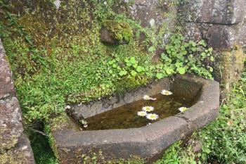 Levada der 25 Fontes PR6 Wanderung auf Madeira