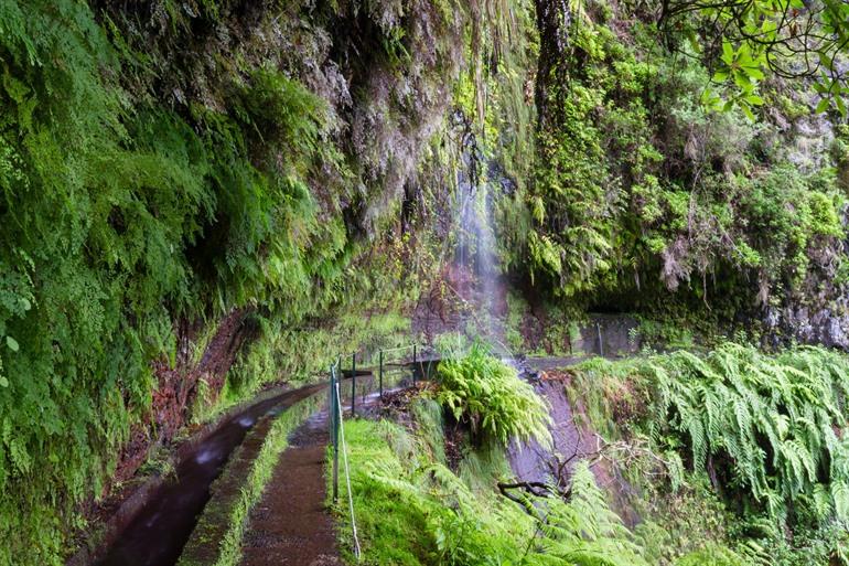 Levada do Rei PR18 Wanderung Madeira