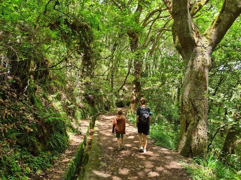 Levada dos Balcões PR11 Wanderung auf Madeira