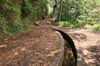 Levada dos Balcões PR11 Wanderung auf Madeira