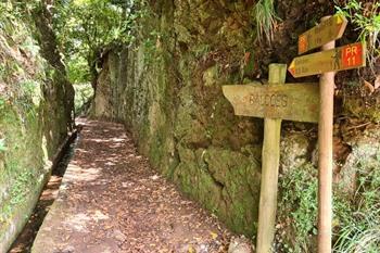 Levada dos Balcões PR11 Wanderung auf Madeira