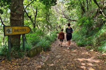 Levada dos Balcões PR11 Wanderung auf Madeira
