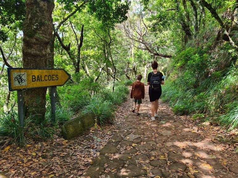 Levada dos Balcões PR11 Wanderung