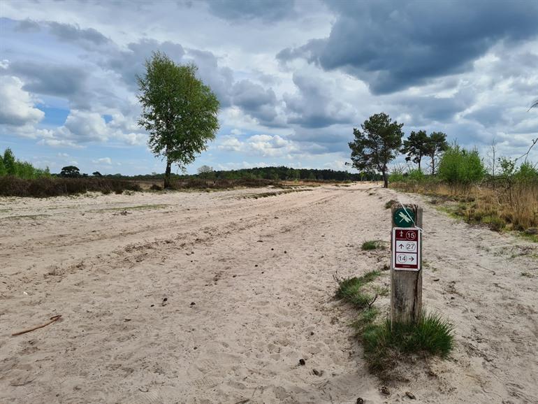 Libelle-Wanderung auf der Kalmthoutse Heide
