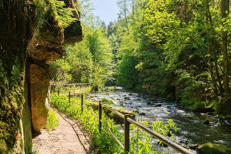 Liebethaler Grund Schlucht im Sächsisch-Zwischenland