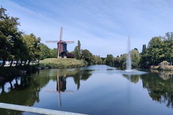 Lindemolen in Diest