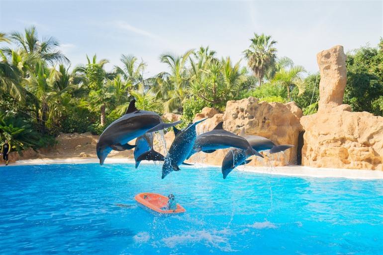 Loro Parque Delfine