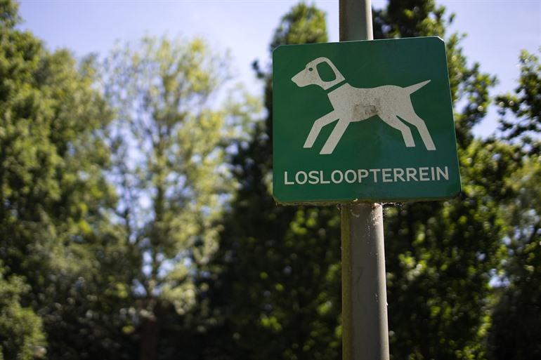 Auslaufzone für Hunde auf dem Schild gekennzeichnet