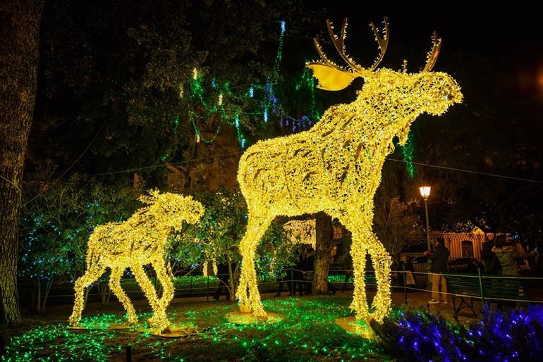 Luci d'Artista, Lichterfestival in Salerno