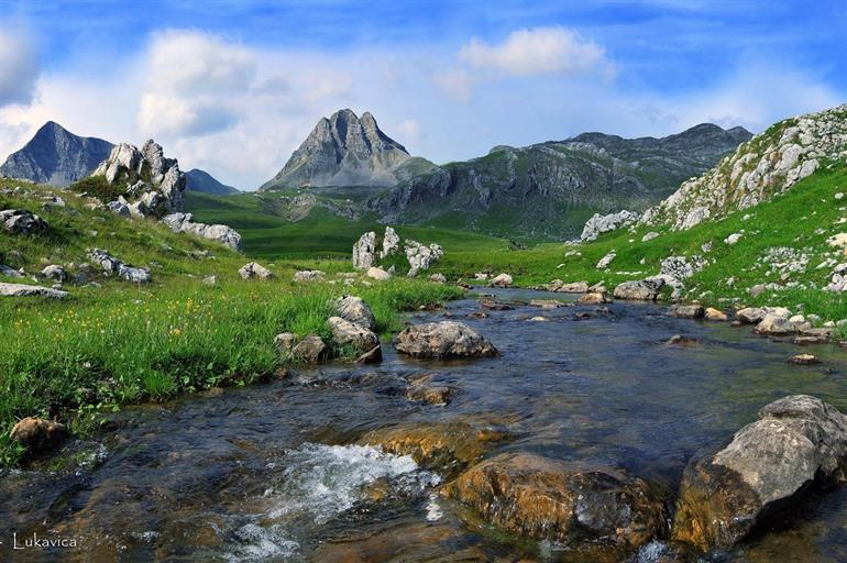 Lukavica Montenegro