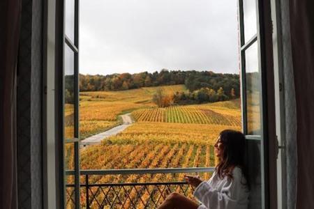 Luxusunterkunft mit Blick auf die Weinberge im Château de Sacy buchen