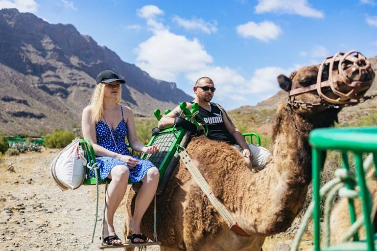 Unternehmen Sie eine Kamelreise bei Camel Safari