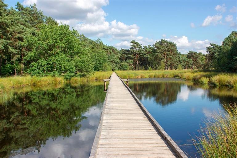 Maasduinen Nationalpark