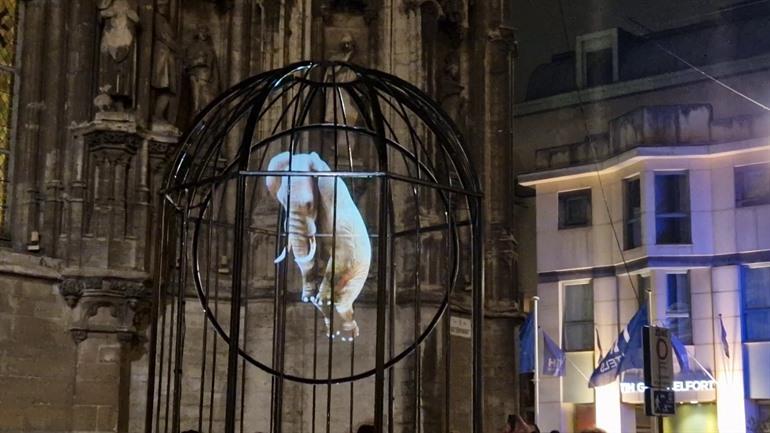 Magic Circle beim Lichtfestival in Gent