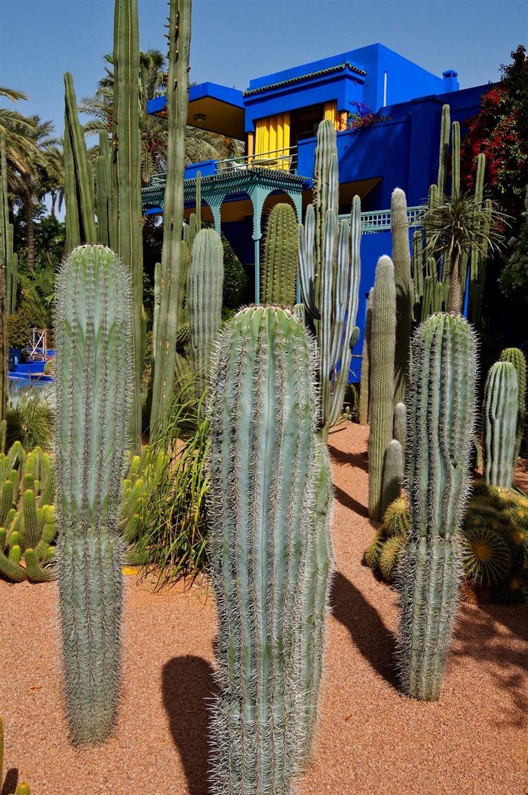 Majorellengarten in Marrakesch
