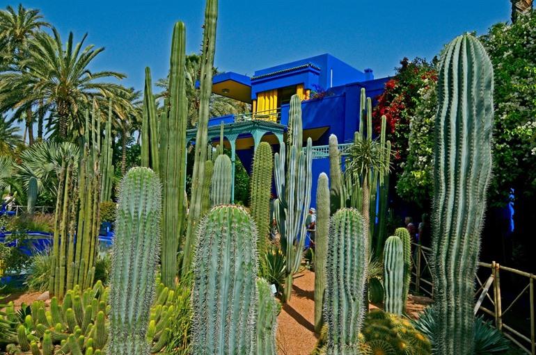 Majorellengarten in Marrakesch