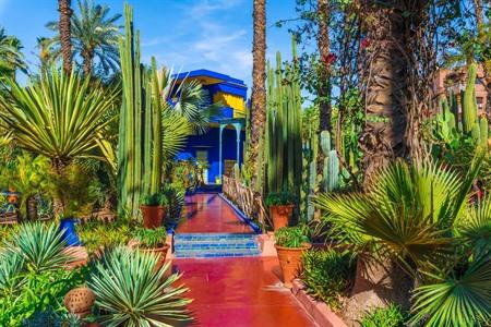 Die Majorelle-Garten in Marrakesch besuchen? Infos, Tipps & Tickets