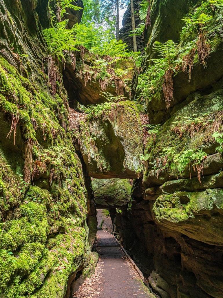 Wandern auf dem Malerweg in der Sächsischen Schweiz