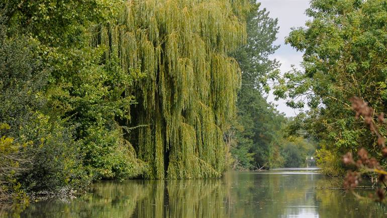 Marais Poitevin
