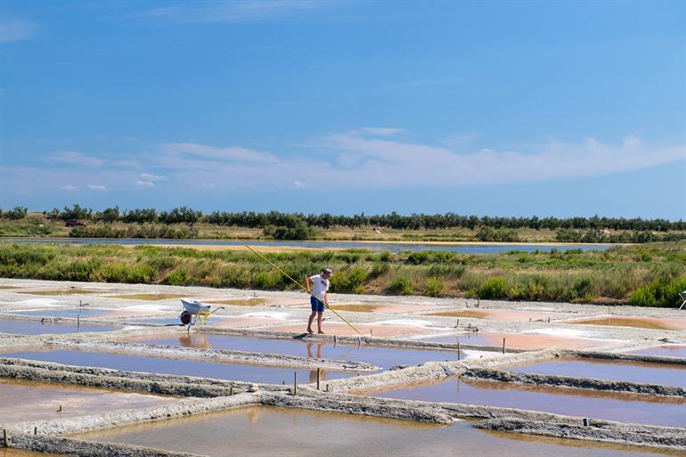 Salzpfanne, Île de Ré