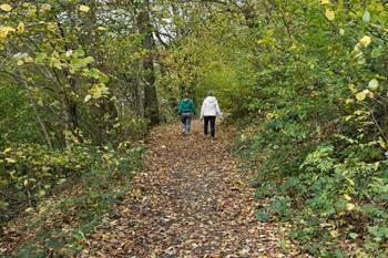 Marcourt-Rendeux Wanderroute