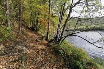 Marcourt-Rendeux Wanderroute