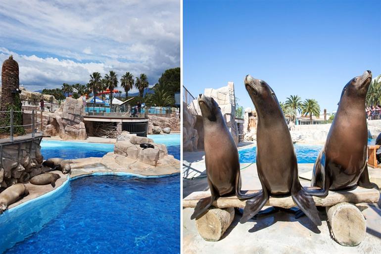 Marineland Frankreich besuchen, Côte d'Azur