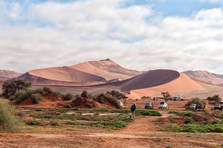 Mit einem 4x4 durch die Sossusvlei