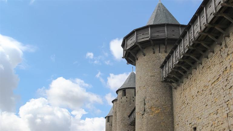 Meisenkäfig Carcassonne