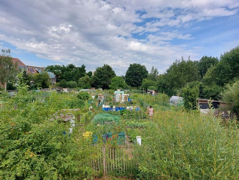 Gemüsegärten im Bemptpark, Brüssel